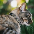 thumbnail image 2 of Buckle-Down Breakaway Cat Collar With Bell, Plastic Clip, Easy Adjustable, Floral Collage Tan Blue, 8.5 to 12 Inches 0.5 Inch Wide, 2 of 4