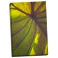 thumbnail image 1 of Gango Home Decor Sun in the Leaves II by Karyn Millet (Ready to Hang); One 24x36in Hand-Stretched Canvas, 1 of 4