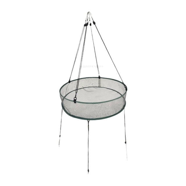 Bandeja para recoger comida de pájaros con forma de concha y clavos pulidos. Reduce el desperdicio. Instalación sencilla. Gris