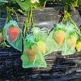 thumbnail image 6 of Hadanceo 100Pcs Fruit Mesh Bags Drawstring Netting Cover Mesh Fruit Protectors Bird proof Fruit Bags Strawberry Blueberry Bags, 6 of 8