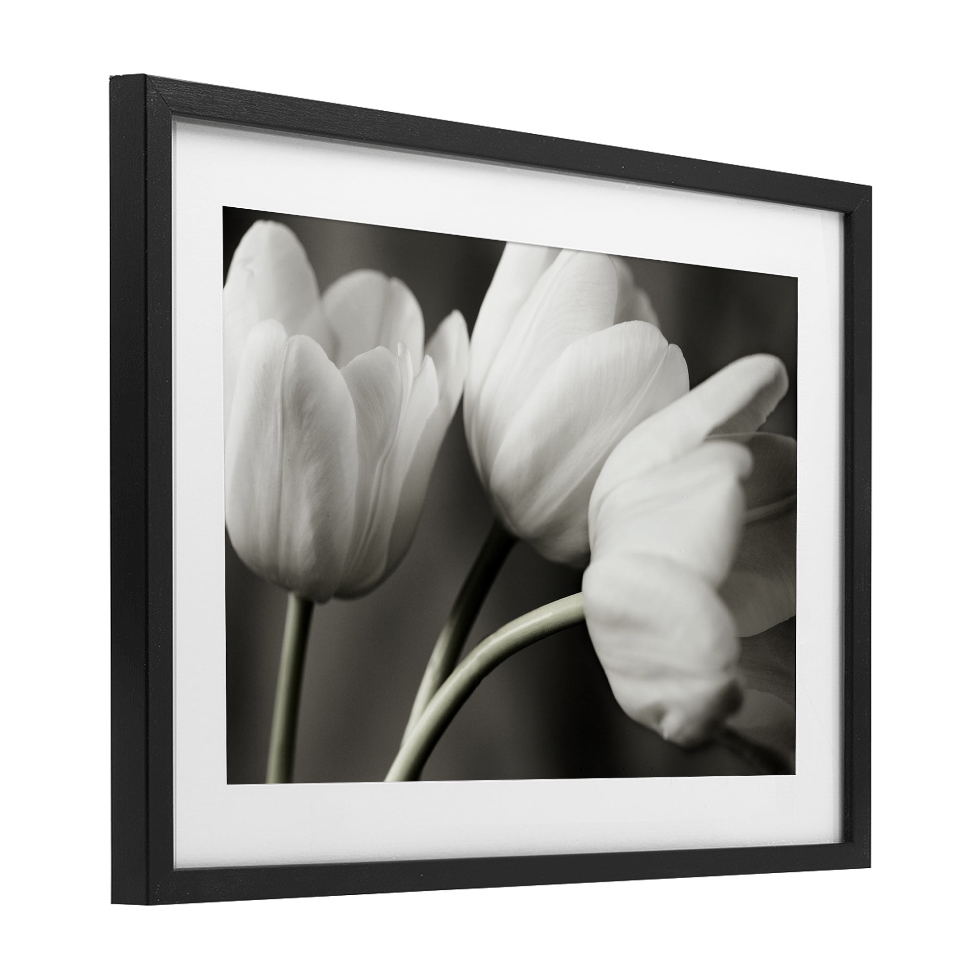 Stupell Industries Row Of Monochrome Tulips Black Framed Print Under Glass, design by Tom Quartermaine