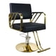 thumbnail image 1 of SILLÓN DE BARBERÍA ELEGANTE COLOR DORADO NEGRO, 1 of 7