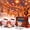 2PCS, variant on 2027 New Magical Christmas Projection Night Light Holiday, Holiday Projector, Room Ambiance, Night Light, Christmas Decor, Indoor Use Wonderland Effect Room Transformer