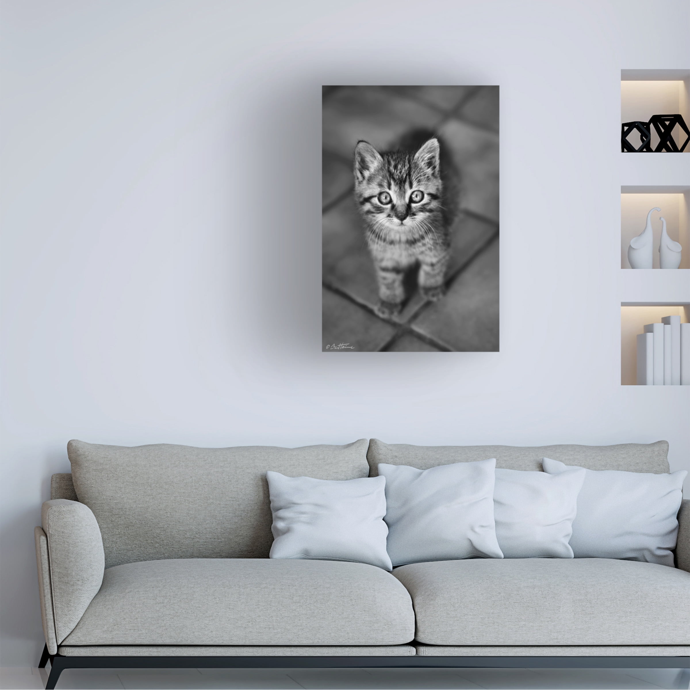 Ben Heine 'Cute Kitty' Canvas Art