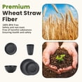 thumbnail image 4 of Homienly 40-Piece Wheat Straw Dinnerware Set, Service for 8, Reusable Plates, Bowls & Cups, Lightweight, Microwave & Dishwasher Safe, Black, 4 of 8