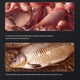 thumbnail image 4 of 2PCS Strong Fish Attractant Concentrated Liquid Blood Worm Scent Fish Attractant Spray Flavor Additive Fishy Trout Carp Bass, 4 of 5