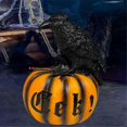 thumbnail image 5 of Halloween Crow Pumpkin Figurine Black Raven Pumpkin Resin Statue, 5 of 5