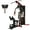 LX770, variant on Fitvids LX750 Multifunctional Full Home Gym System Workout Station with 122.5 Lbs Weight Stack, One Station, Comes with Installation Instruction Video, Ships in 5 Boxes