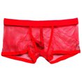 thumbnail image 2 of Calzoncillos transparentes para hombre Sunnimix malla Talla M L XL XXL, 2 of 5