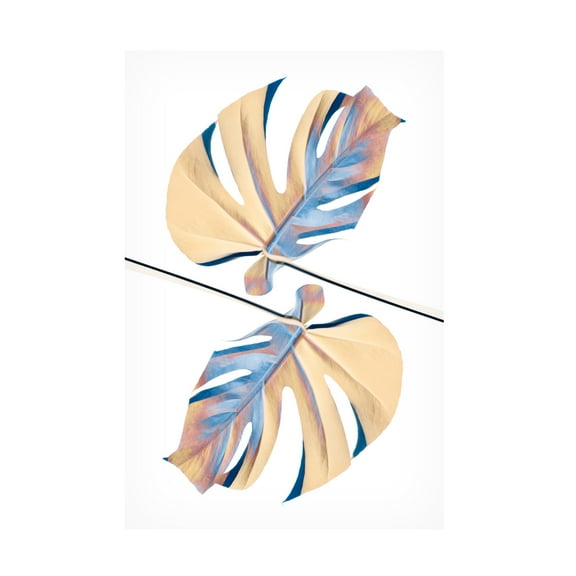 Trademark Fine Art Pictufy Studio Ying Yang 07 Canvas Wall Art