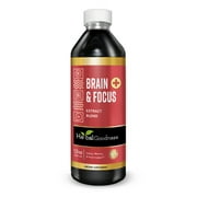 Brain and Focus - Nootropic Brain Supplement, Immune System Booster, Brain Health - Gingko, Graviola, Lion's Mane - Herbal Goodness