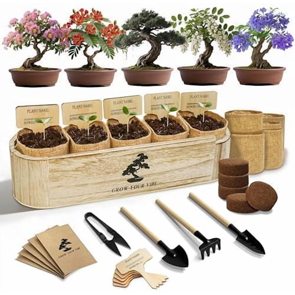 Bonsai Tree Kit for Beginners - Unique DIY Japanese Bonsai Trees, Crafts for Adults, for Women & Men,Complete Indoor Plant Kit