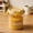 B, variant on Airtight Plastic Food Storage Container, 1000ml/33.8oz Cute Cartoon Sealed Canister for Cereal, Grain, Snack, Kitchen Pantry Organizer