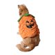 thumbnail image 3 of Conjunto de ropa y sombrero para mascotas, para fiestas de festivales, transformación de mascotas, cálido, con forma de calabaza, 2024, 3 of 8