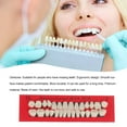 thumbnail image 2 of 28 Pcs/set Dents en Résine Modèle Durable Prothèses Universelles Résistantes Fausses Dents, 2 of 6