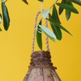 thumbnail image 4 of Coconut Shell Bird House, 4 of 4