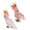 03, variante sur Kiplyki Wholesale Jouets d'Animaux Perroquet Figurines Décoration Maison Préscolaire Éducatif