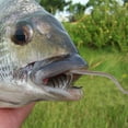 thumbnail image 7 of Name, 7 of 7