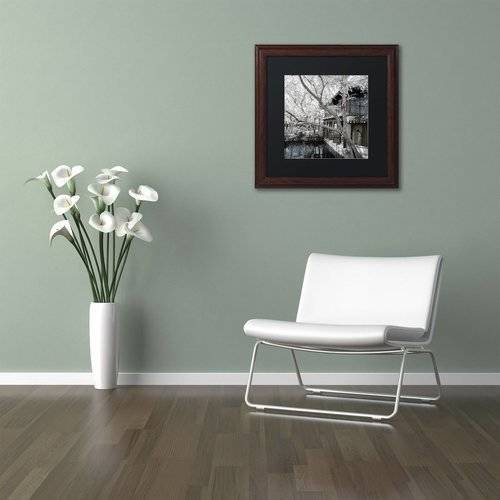 Trademark Fine Art "Reflections" Canvas Art by Philippe Hugonnard, Black Matte, Wood Frame