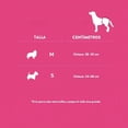 thumbnail image 4 of Pañal para perro Vibrant Talla Chico, 4 of 4