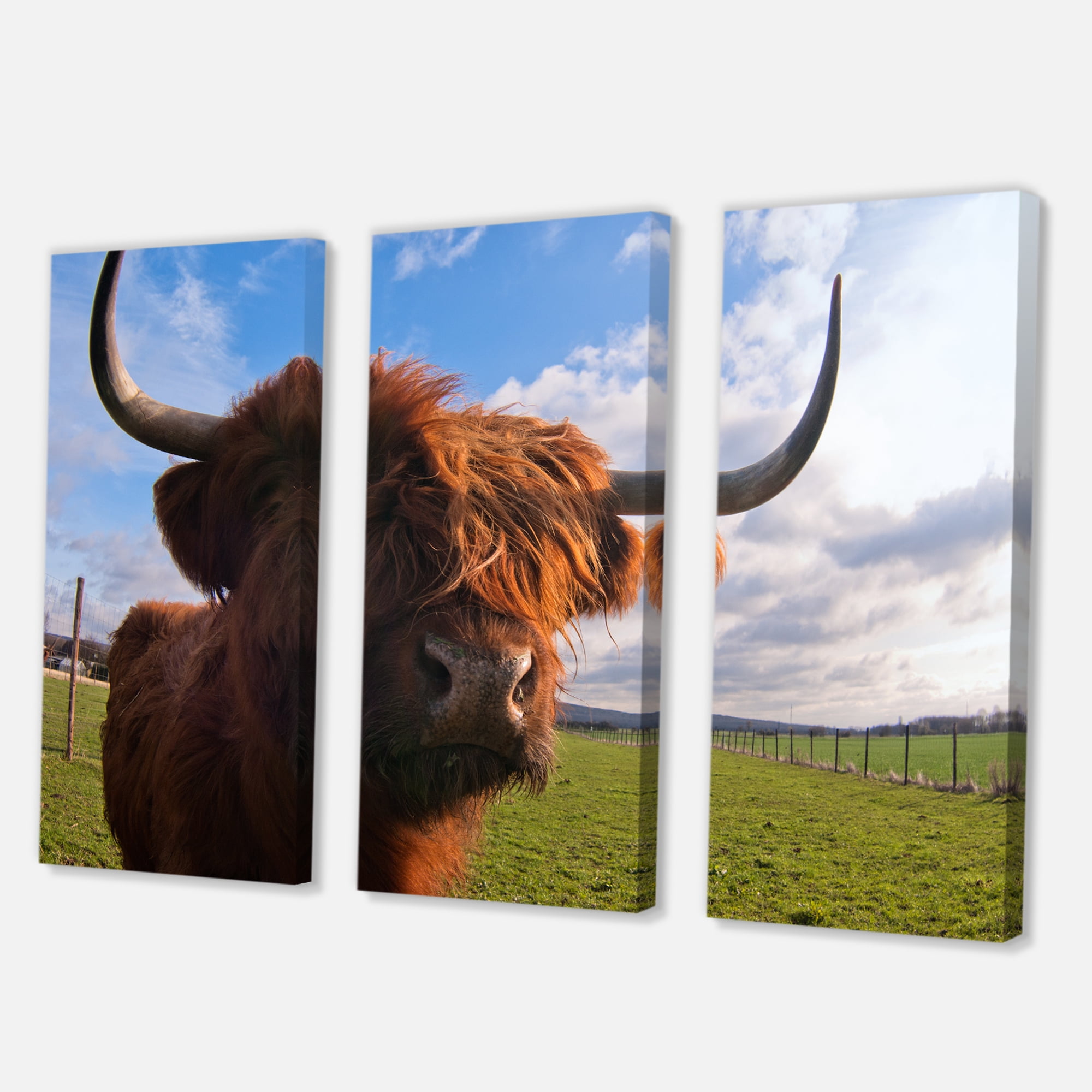 Designart ' Close Up Portrait Of A Yak ' Farmhouse Canvas Wall Art Print