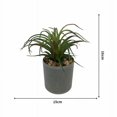 thumbnail image 1 of Planta artificial simulación de flores artificiales planta suculenta fresia planta en maceta interior simulación flor decoración del hogar bonsai adornos planta verde planta de simulación (verde marrón) ILoveMilan JM, 1 of 5