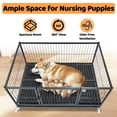 thumbnail image 4 of Homey Pet 43 Inch Metal Wire Dog Whelping Box for Puppies + Stackable Heavy Duty Dog Crate Cage Kennel with Caster, Divider, Floor Grid and Tray for Medium/Small Sized Dogs, 4 of 14