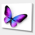thumbnail image 3 of Designart ' Blue and Violet Butterfly ' Modern Canvas Wall Art Print, 3 of 4