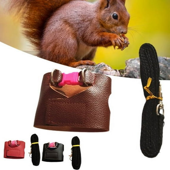 Cheers.US Squirrel Leash Escape Proof Easy Control Accessory Squirrel Train Tool Leash Split Vest,Burr-free, Stretchy, Shock Absorb,for Small Animal