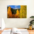 thumbnail image 3 of Elephant Stock Pikes Peak In Autumn Wall Art - Horizontal Canvas Wall Art - Living Room Wall Decor - Nature Canvas - Gold And Gray Decor - 12" x 8", 3 of 8