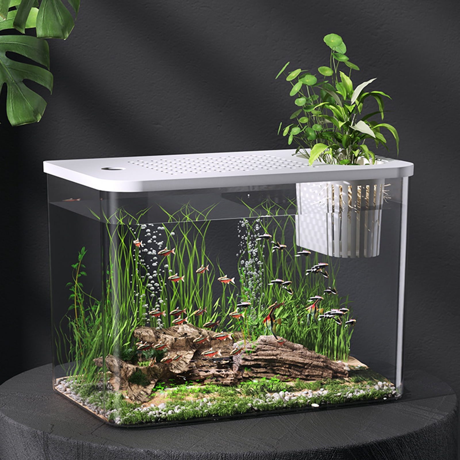 Modern Leakproof Aquarium with Child-Safe Lid & Plant Holder, Home Office Desktop Fish Habitat for
