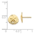 thumbnail image 3 of Auriga Fine Jewelry 14K Yellow Gold Sand Dollar Stud Earrings for Women (L - 0.39 Inch, W - 0.39 Inch), 3 of 6