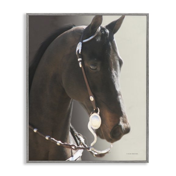 Stupell Industries Victorian Horse with Bridle Gray Framed Giclee Art, 11 x 14, by Kari Brooks