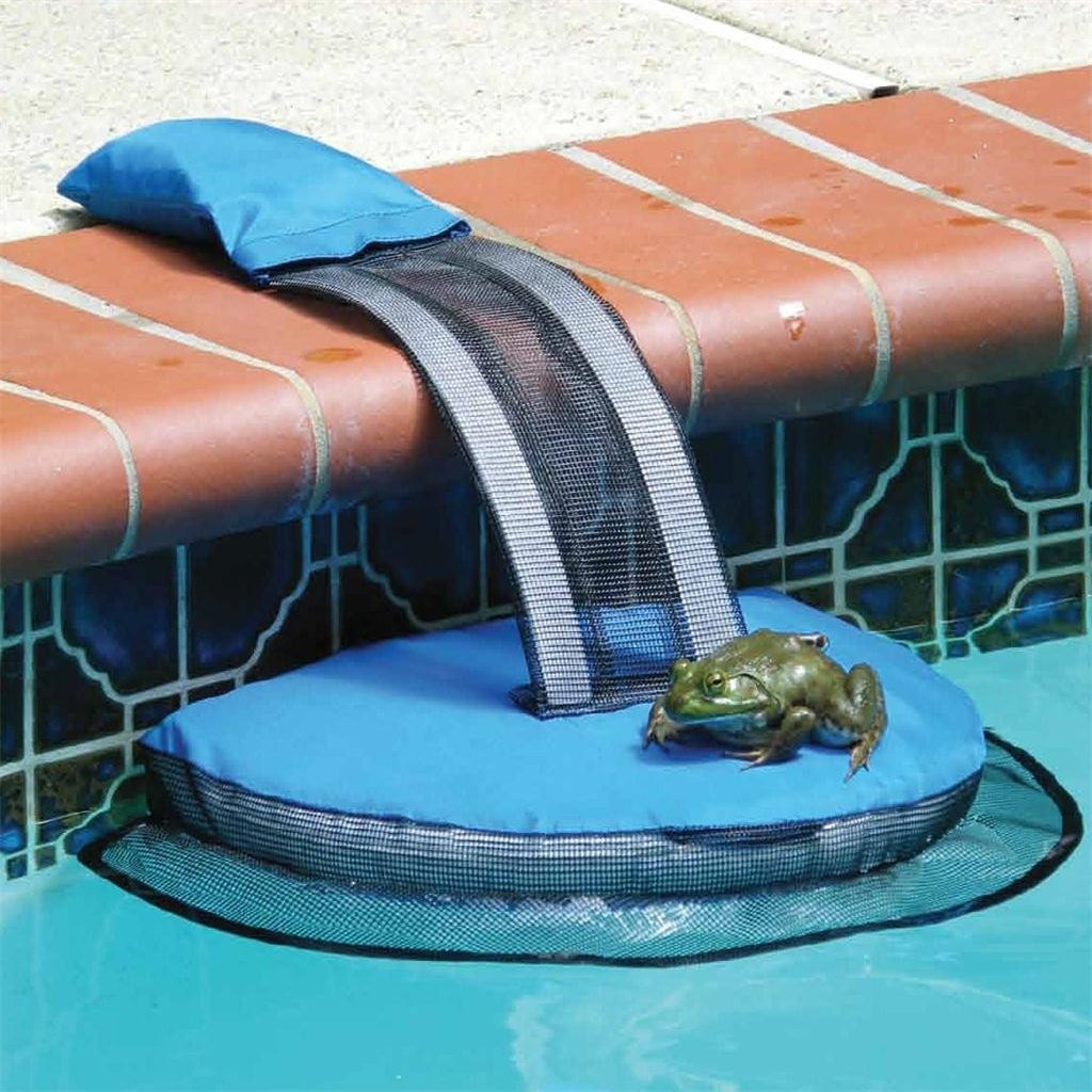 Swimming Pool Animal Rescue Escape Ramp Suitable for Duck Turtle