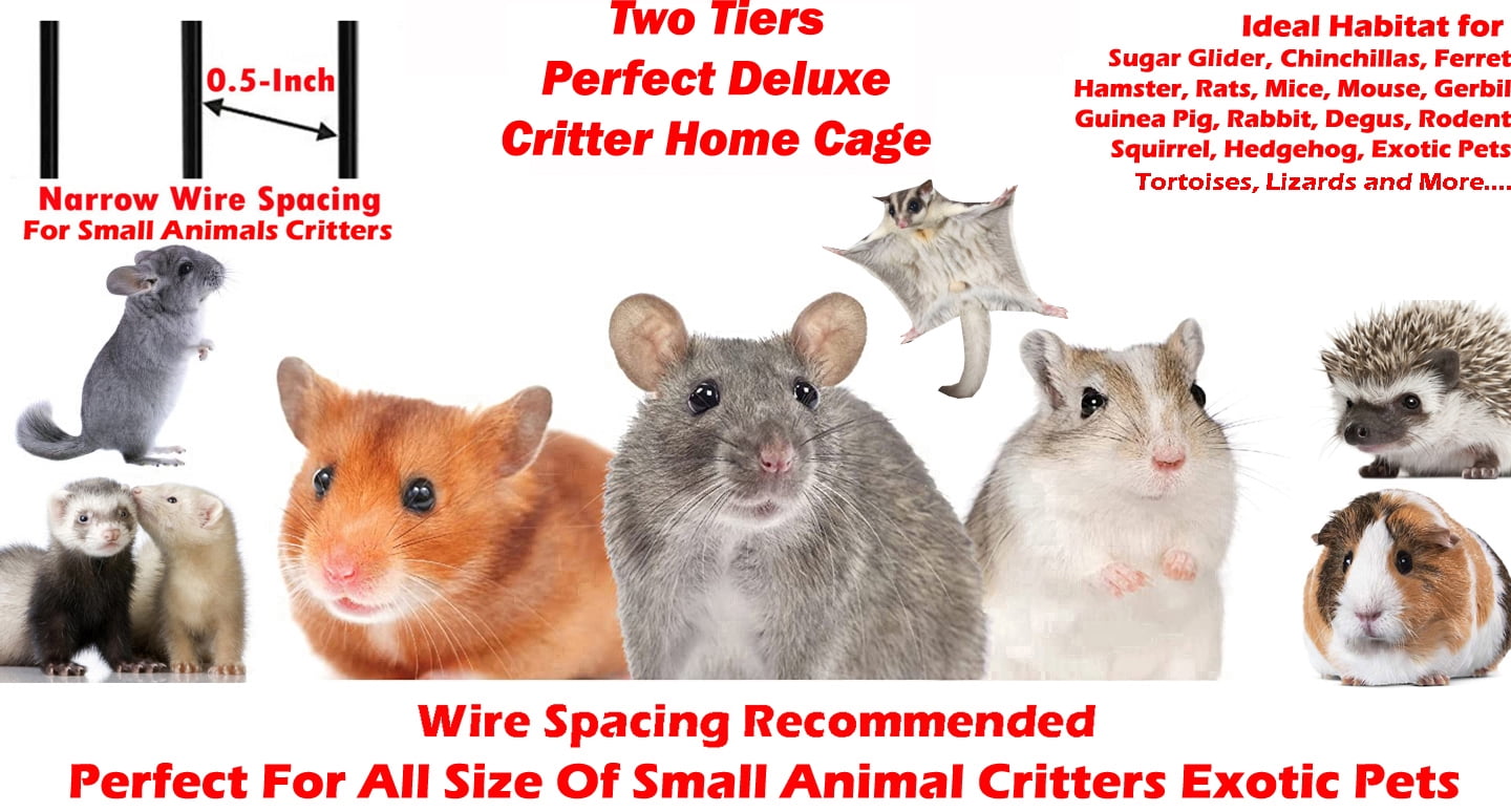 LARGE Two-Levels Tight 1/2-Inch Bar Spacing for Feisty Ferret Hammock Chinchilla Guinea Pig Rabbit Cat Mouse Hamster Gerbil Small Animals Critters Rolling Cage