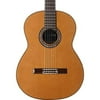 C9 Crossover Nylon String Classical Acoustic Guitar