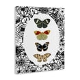 thumbnail image 2 of Stupell Industries Traditional Floral Butterfly Lineup Canvas Art, 24 x 30, by Dan Meneely, 2 of 8