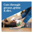 thumbnail image 5 of Clorox Pro EcoClean 128 oz. Bottle All-Purpose Cleaner - Unscented (4/Carton), 5 of 11
