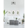 thumbnail image 6 of MARMONT HILL  - Handmade Herb Trio Triptych - Multi-color, 6 of 6