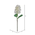 thumbnail image 2 of Vickerman 34" Artificial White Cone Hydrangea Spray. 2 Stems In A Bag., 2 of 2