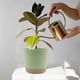 thumbnail image 5 of Set of 2 Plant Pots 16cm, Indoor Plant Pots with Drainage Holes and Removable Base, Modern Decorative Saucer for Outdoor Planters (Green 16cm), 5 of 5