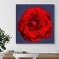 thumbnail image 2 of PixonSign Canvas Print Wall Art Crisp Detailed Red Rose Floral Plants Photography Realism Glam Closeup Colorful Multicolor Ultra for Living Room, Bedroom, Office - 24"x24", 2 of 5