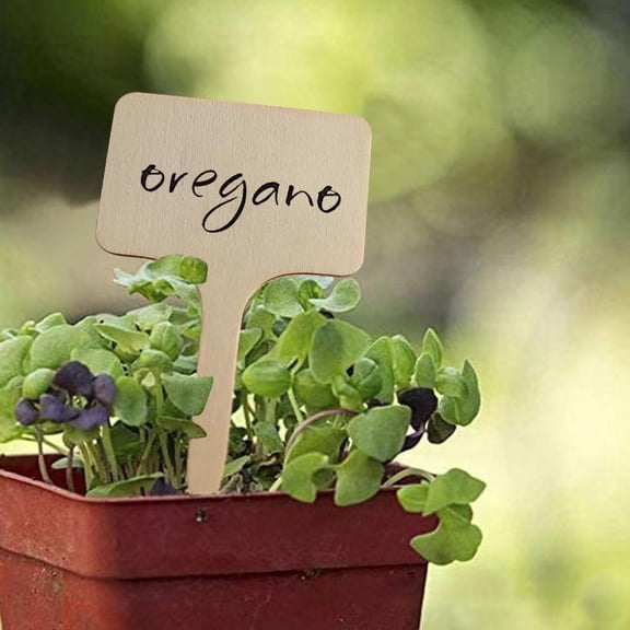 QHUDLV Wooden T-Type Bamboo Plant Labels Eco-Friendly Wooden Plant Sign Tags Garden Flowers Markers to for Seed Potted Herbs