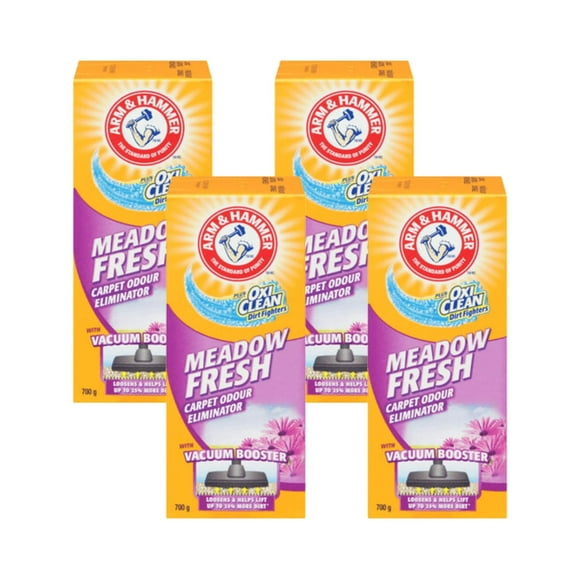 Arm & Hammer Carpet Fighters Deodorizer - Meadow Fresh Scent, 700g(4/Case)