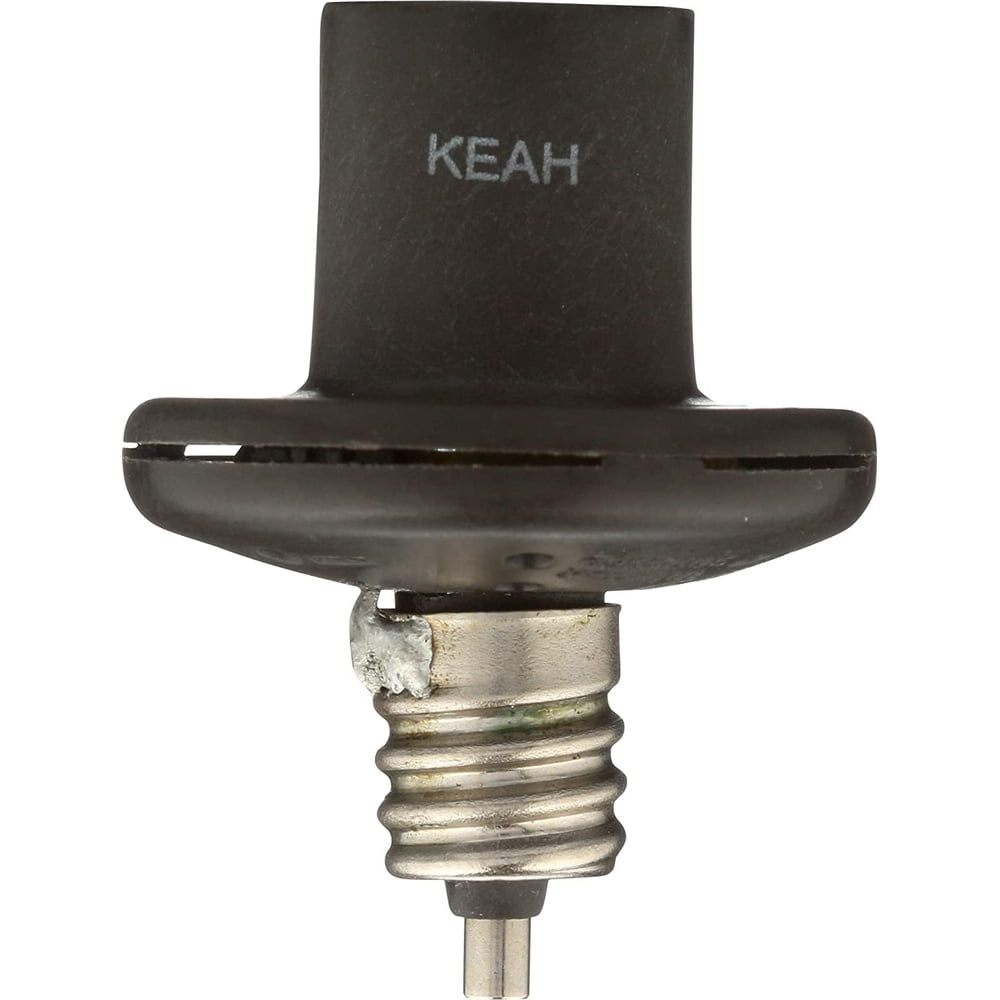 Westek SLC2BCB34 Indoor/Outdoor, Dusk to Dawn, Candelabra Light