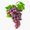 1pcs, variant on Fresh Orchard Harvest Bunch Of Red Grapes Vine Healthy Fruit Agricultural Decal For Gym Shaker Sticker