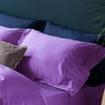 thumbnail image 2 of Xianyou-housses d'Oreiller Européennes en Microfibre Lot de 2, Résistantes à la Décoloration, aux Plis et au Rétrécissement Housses d'Oreiller Douces avec Fermeture Enveloppe Housses d'Oreiller Euro (Violet, 26 x 26 Pouces), 2 of 4