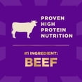 thumbnail image 6 of Wellness CORE+ Adult Dry Dog Food with Freeze Dried Pieces, Wholesome Grain Kibble+, Natural, High Protein, Beef and Barley Recipe, 18 lb Bag, 6 of 9