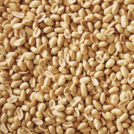 Happy Wings Shelled Peanuts Seeds Wild Bird Food - 5 Pounds I No Grow Seed I Bird Seed for Wild Birds