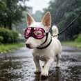 thumbnail image 4 of Goggles Eye Protecting Sunglass Windproof Personality Puppies Goggles For Small Media Flexible Strap Glasses For Small Dogs Accessories Belt Bags Dog Holder Dog Kennel Accessories Dog Wheelchair, 4 of 4
